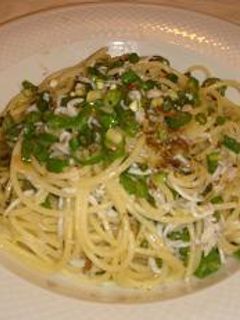 しらすとしし唐のしそ和えパスタ-レシピのメイン写真