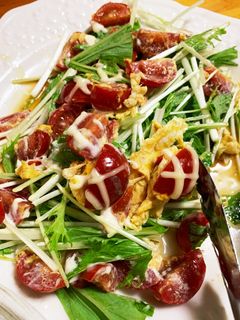 大量トマトと卵と水菜のサラダ-レシピのメイン写真