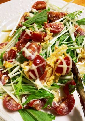 大量トマトと卵と水菜のサラダ-レシピのメイン写真