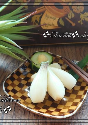 ❖エシャレットの糠漬け❖簡単な和の副菜❖-レシピのメイン写真