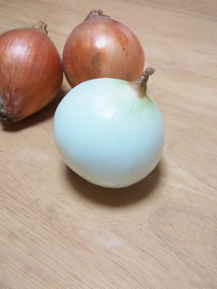 簡単!玉ねぎの剥きかた♪-レシピのメイン写真