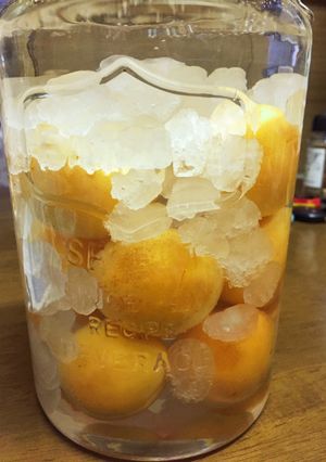 杏そのまま杏酒-レシピのメイン写真