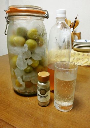 梅シロップ✨いろいろ✨-レシピのメイン写真