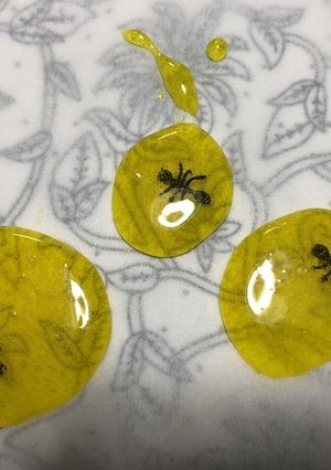 アリ入り琥珀の琥珀糖-レシピのメイン写真