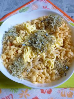 じゃこマヨの冷やしたぬきうどん-レシピのメイン写真