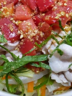 トマトダレの豚しゃぶうどん-レシピのメイン写真