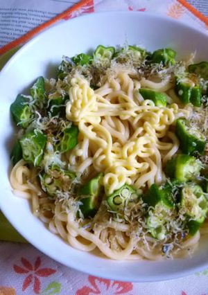 生オクラ＆おじゃこの冷やしうどん-レシピのメイン写真