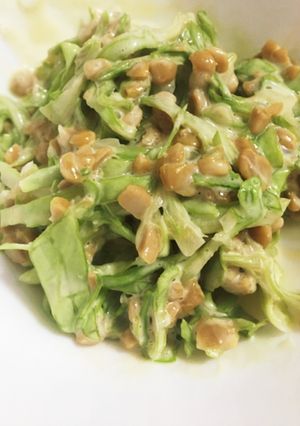 納豆キャベツサラダ-レシピのメイン写真