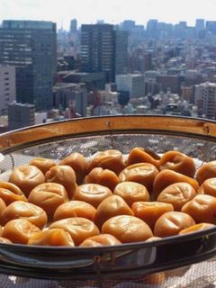 失敗しない梅干しの作り方 塩分控えめ-レシピのメイン写真