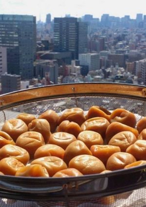 失敗しない梅干しの作り方 塩分控えめ-レシピのメイン写真