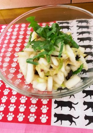 爽やかな白菜の梅塩昆布和え♡簡単美味しい-レシピのメイン写真