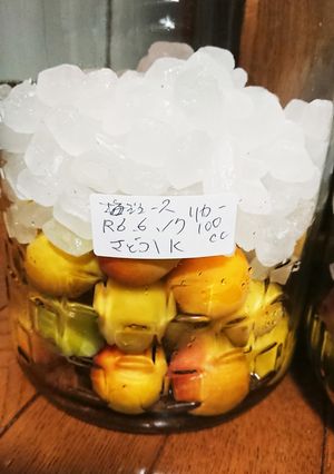 長期保存も可能な、梅ジュース-レシピのメイン写真