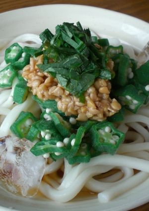 オクラ納豆のネバネバ冷やしうどん-レシピのメイン写真