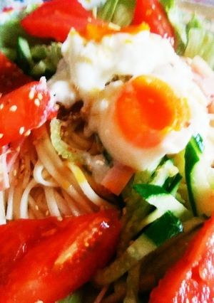 生姜を味わう♡サラダうどん-レシピのメイン写真