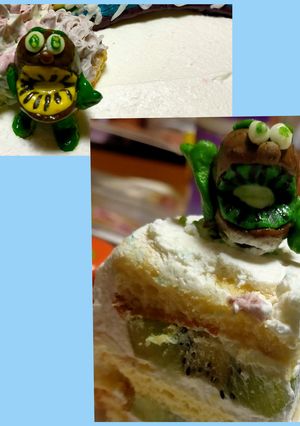 キウイが主役の絶品ケーキ-レシピのメイン写真