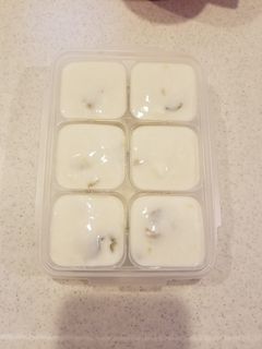 梅の甘露煮で☆ヨーグルトアイス-レシピのメイン写真