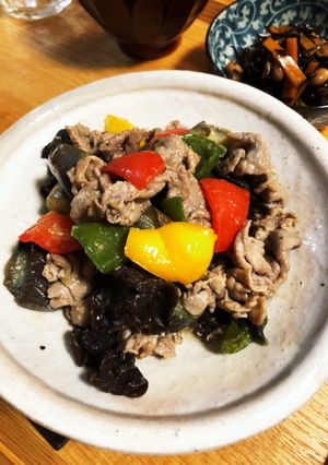豚肉とナスの味噌炒め-レシピのメイン写真