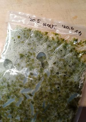 冷凍してたメカブをグレードアップして冷凍-レシピのメイン写真