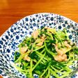 簡単!豆苗とツナのめんつゆ炒め