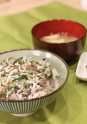 やみつき!絶品しらすごはん-レシピのメイン写真