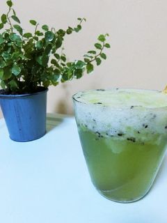 フレッシュキウイで簡単ソーダ-レシピのメイン写真