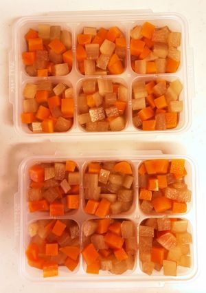 カミカミ期 大根と人参の煮物 冷凍保存-レシピのメイン写真