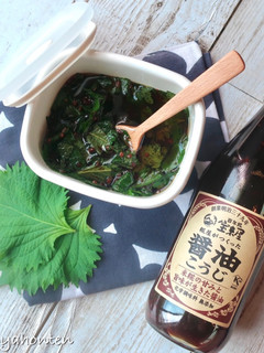 青じその醤油こうじ漬け-レシピのメイン写真