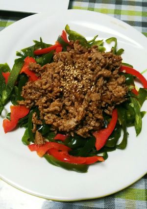 ひき肉の青椒肉絲風-レシピのメイン写真