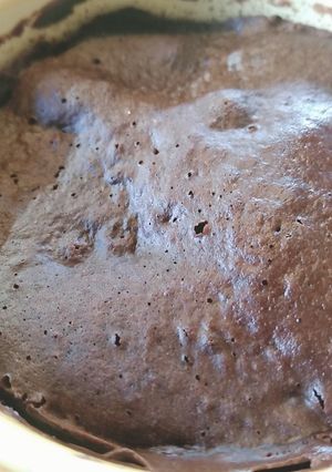 おからパウダーdeチョコレートスポンジ-レシピのメイン写真
