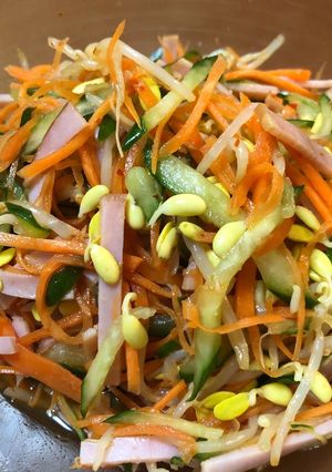 色鮮やか☆豆もやしのナムル-レシピのメイン写真