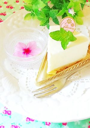 レアヨーグルトケーキ＆ヨーグルトムース♬-レシピのメイン写真