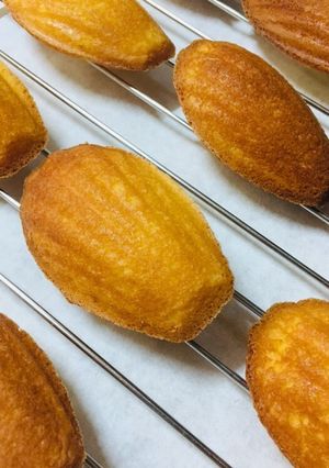レモンの香りがすごい！マドレーヌの作り方-レシピのメイン写真