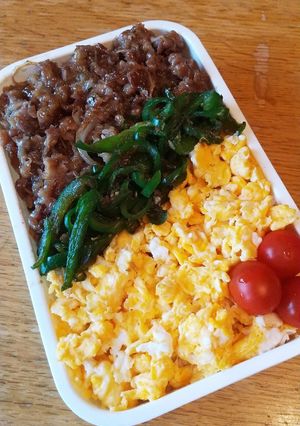 お弁当(6/24)三色弁当-レシピのメイン写真