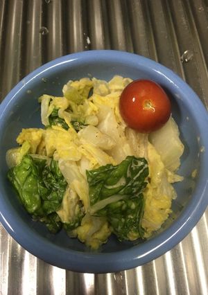 白菜のかつおぶしサラダ-レシピのメイン写真