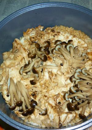 無加水鍋で真鯛のアラの鯛飯-レシピのメイン写真