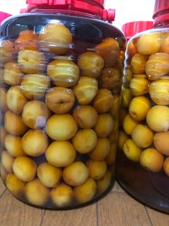 梅の甘酢漬け-レシピのメイン写真