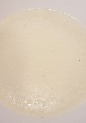 澄んだ鶏がらスープの取り方-レシピのメイン写真