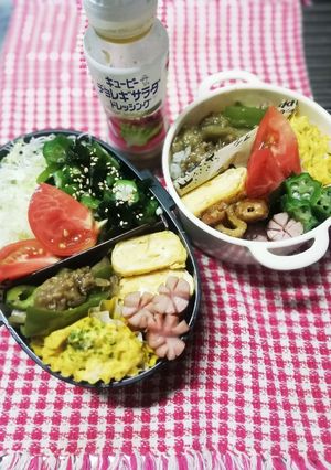 パパ&ママ弁当♡ダイエット弁当6/24-レシピのメイン写真