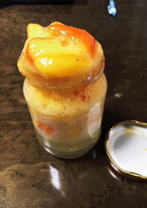 自家製酵母(天然酵母)の作り方-レシピのメイン写真