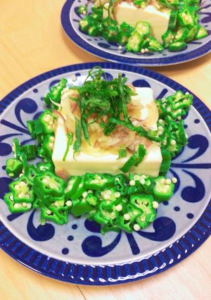 ねばねば元気!薬味冷やっこ #うちの-レシピのメイン写真