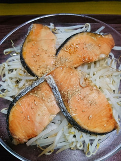 レンチン!鮭ともやし蒸し焼き-レシピのメイン写真