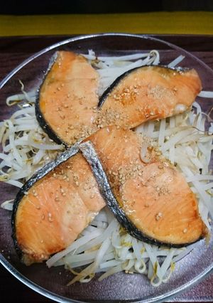 レンチン！鮭ともやし蒸し焼き-レシピのメイン写真