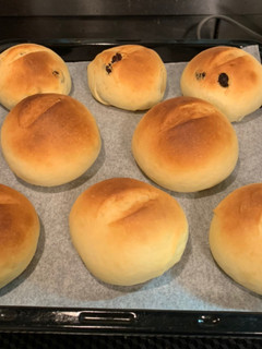 口溶けの良い丸パン✳幼児にも食べやすい!-レシピのメイン写真