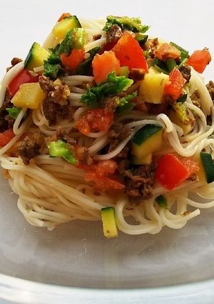 犬ご飯 イタリアンそうめん-レシピのメイン写真