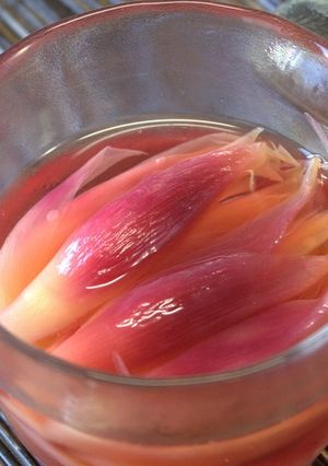 パパッと簡単！みょうがの甘酢漬け【動画】-レシピのメイン写真