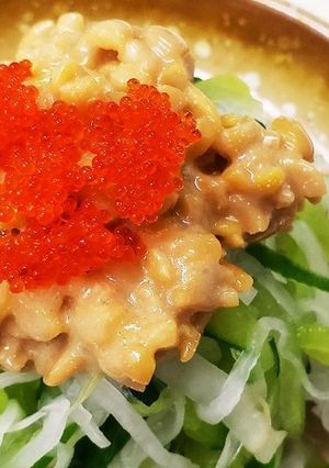 お年寄り絶讚シリーズ☆野菜ひき割り納豆☆-レシピのメイン写真