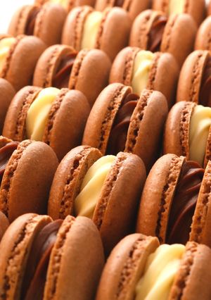 大量生産!卵白2個でチョコマカロン30個-レシピのメイン写真