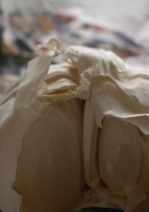 にんにくの保存-レシピのメイン写真