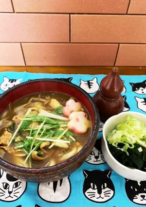 市販のルーで簡単美味♡カレー蕎麦うどん汁-レシピのメイン写真