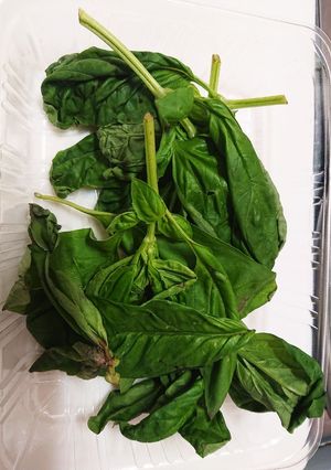 【プロの料理人の裏技】バジルの保存法-レシピのメイン写真